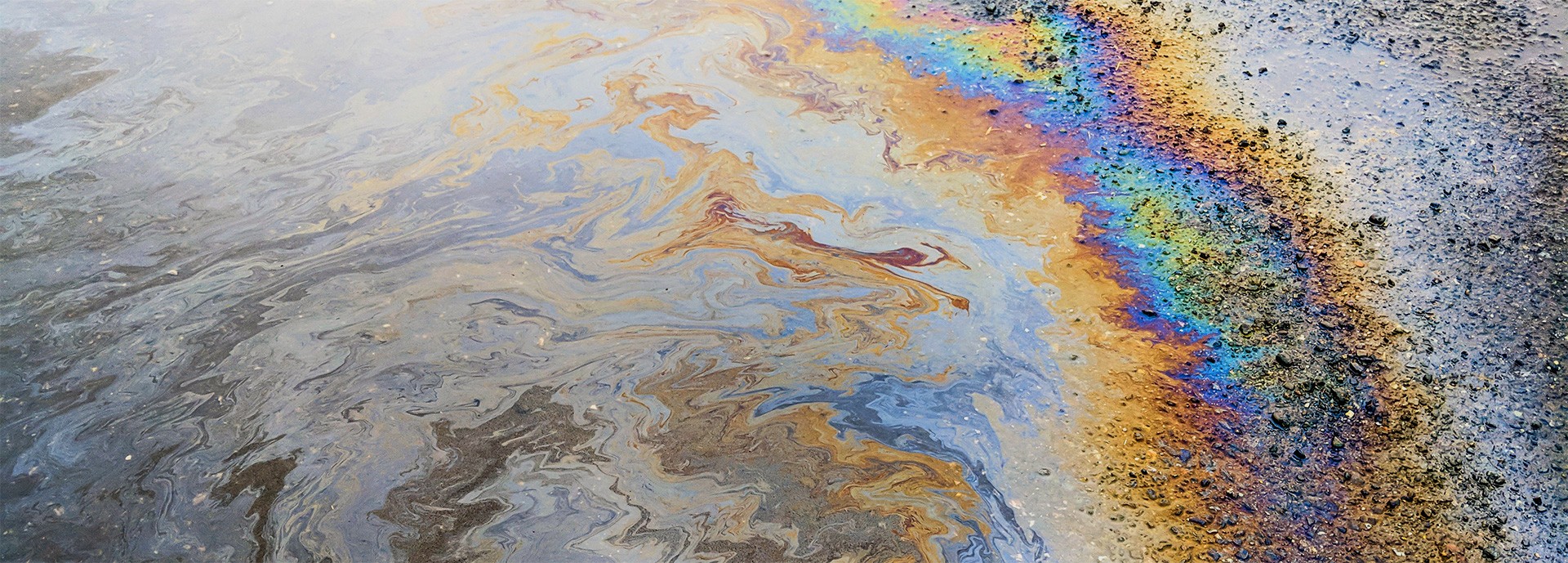 oil sheen on ground, with rainbow effect on right side