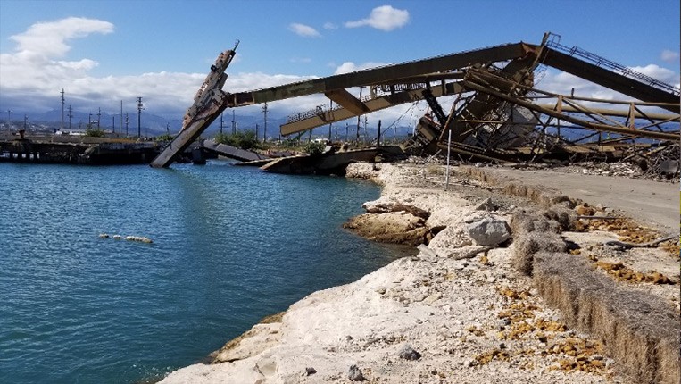 Downed pier structure on the shoreline