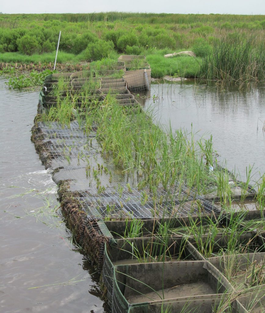 view of a saver bag wall in a waterway with marshy grasses in background