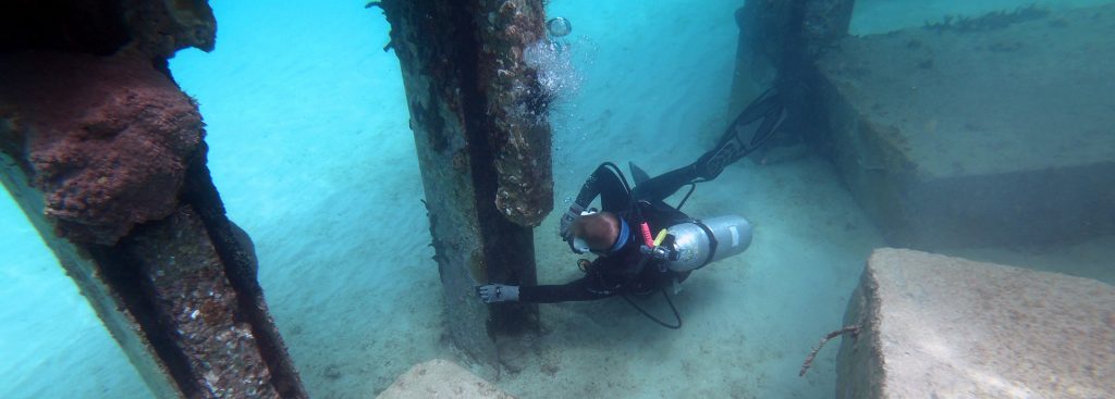 diver underwater inspecting steel girders