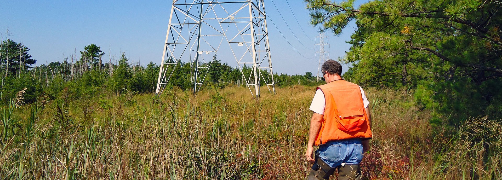 man in orange vest walking in green field with electrical tower in the distance