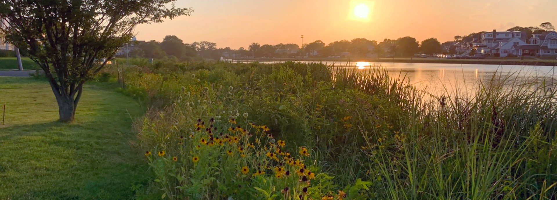 view of sylvan lake shoreline at sunset with flowers and a tree