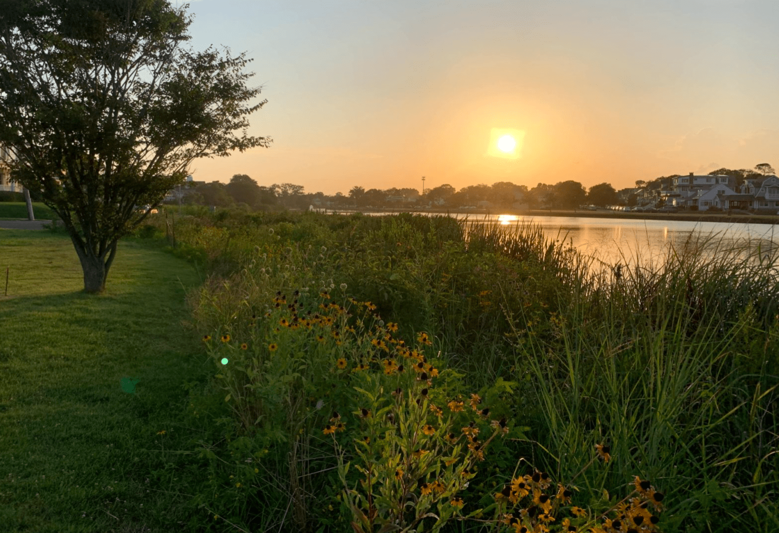 sylvan lake at sunset with flowers