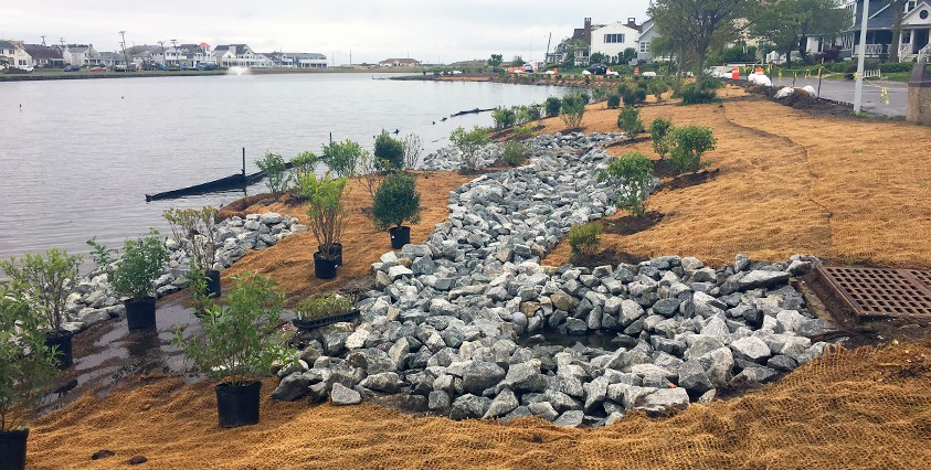 shore of sylvan lake with plants to be planed and rocky drainage system