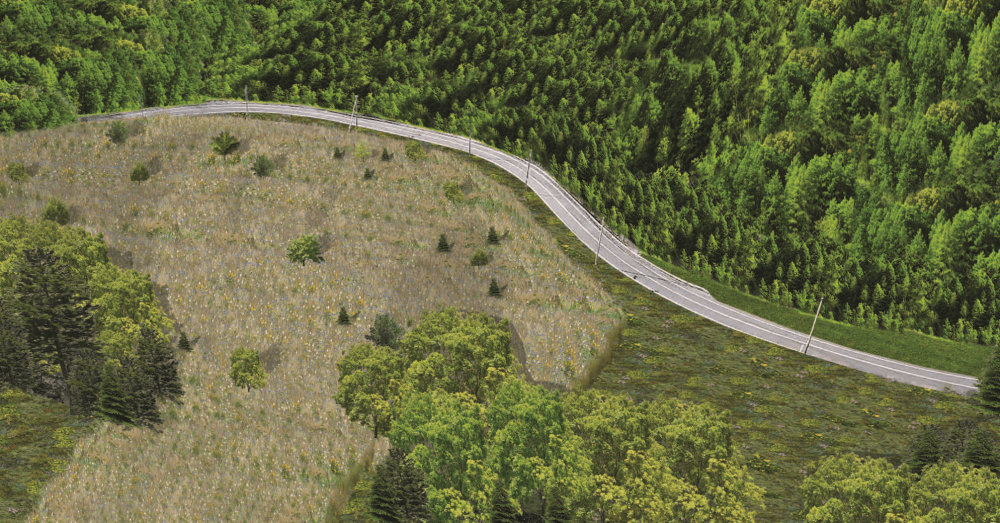habitat rendering of grassy areas with windy road