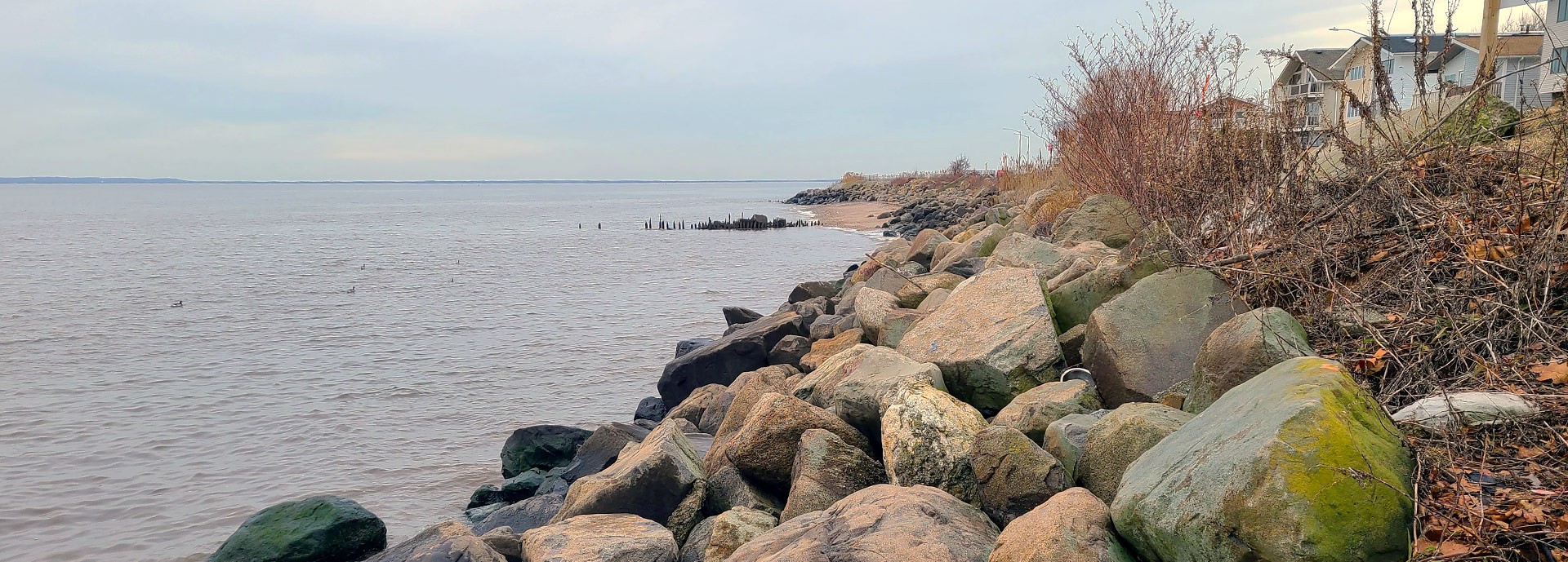 rocky shoreline on right side and water on left with houses in distance