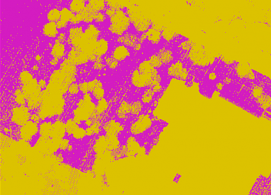 pink and yellow lidar rendering