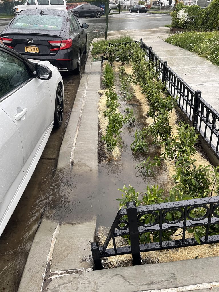 bioswale during rain event