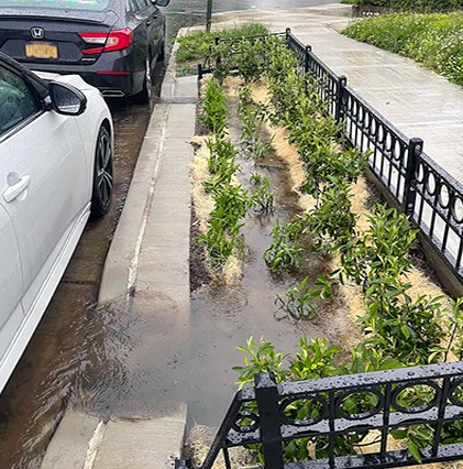 bioswale on curb during rain event, with rain pooling