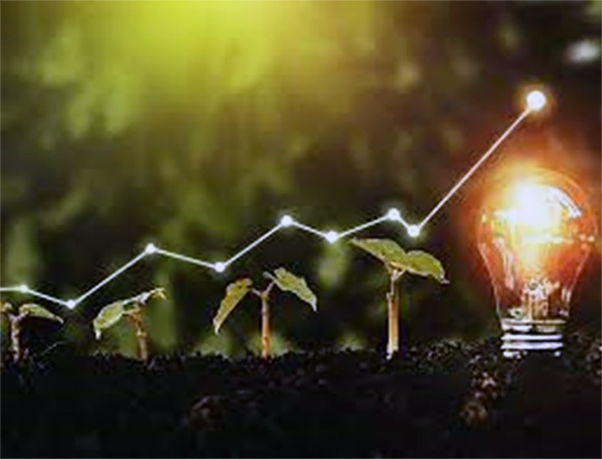 updated graphic of lightbulb and saplings growing from left to right to the lightbulb with a rising graph arrow