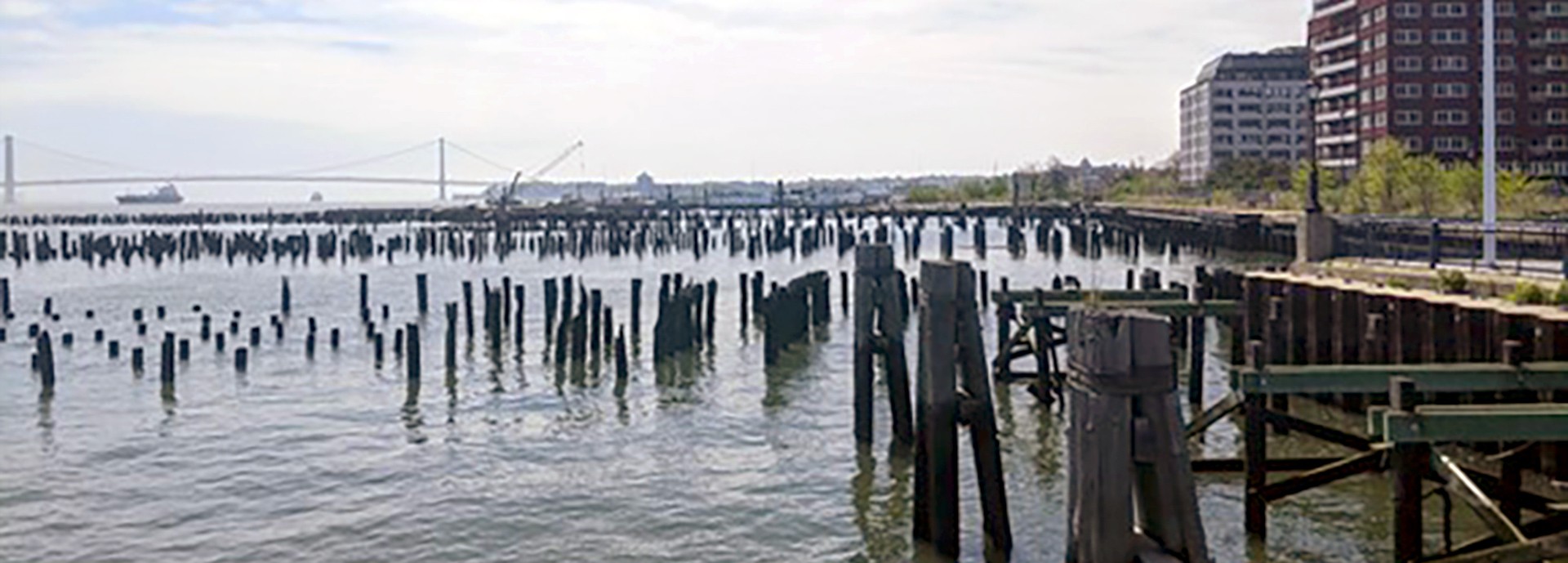 view of water at the esplanade with wooden poles in water and bridge in background