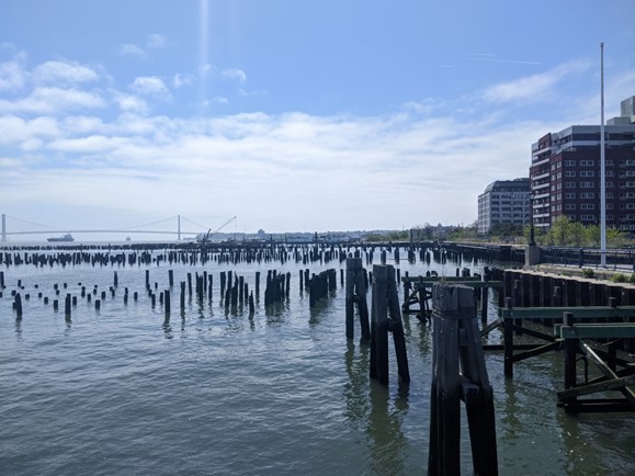 photo of pier and coast of the esplanade