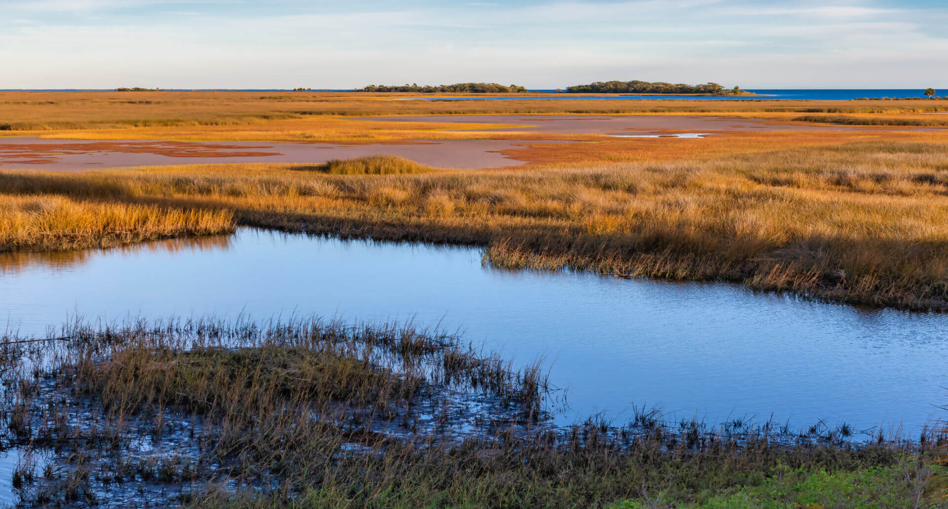 Coastal wetlands protected and restored by Matrix New World Engineering company