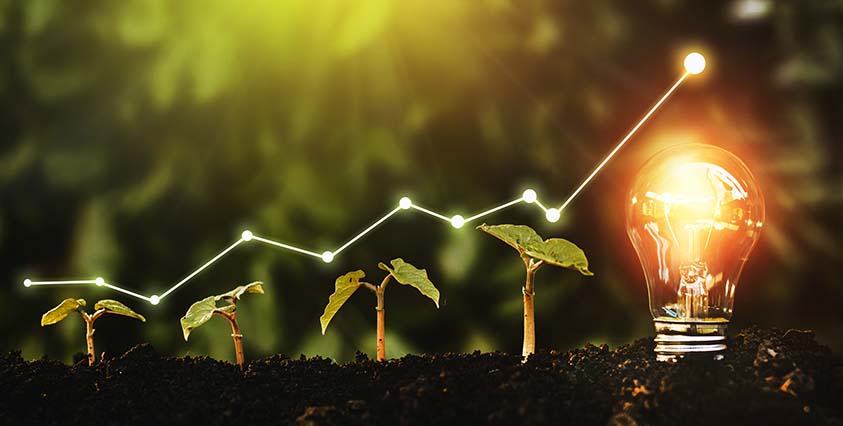 seedlings in dirt getting larger from left to right, with lightbulb lit on right side and graph line going up above the seedlings and light bulb