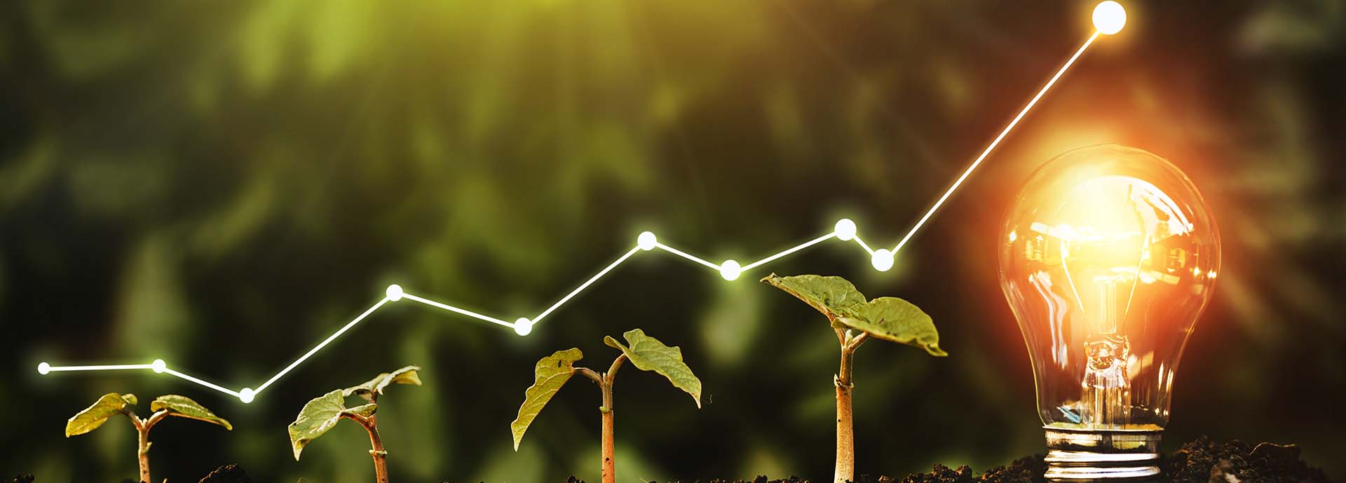 saplings growing in dirt getting larger from left to right with lit lightbulb on right and graph lines going up over the saplings and light bulb