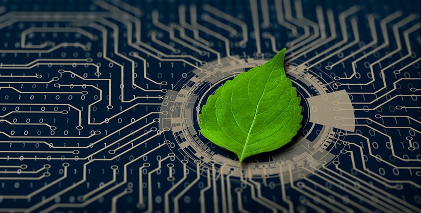 horizontal crop of green leaf in middle of circuit board with beige circuits on navy background with 1s and 0s