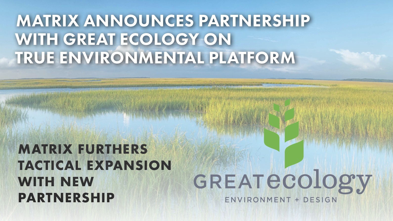 great ecology logo on a marsh background with text